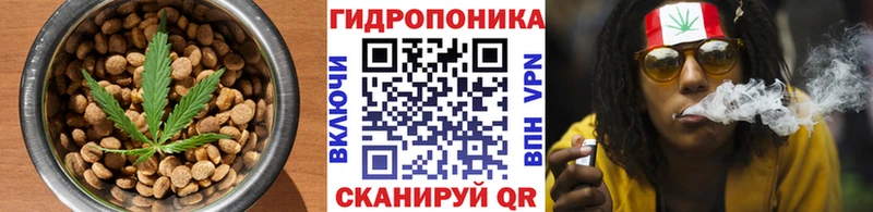kraken tor Собинка Canna-Cookies конопля