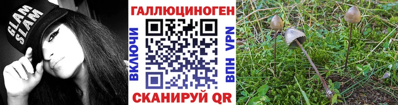 Псилоцибиновые грибы мухоморы  Собинка 